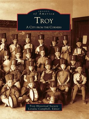 cover image of Troy